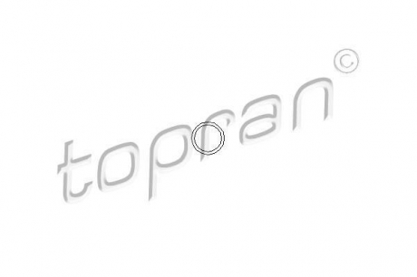 Елемент вприскування Monopoint TOPRAN / HANS PRIES 100678 (фото 1)