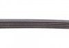 Ремень поликлиновой DAEWOO LANOS седан (KLAT) 1.6 16V CONTITECH 5PK1005 (фото 3)