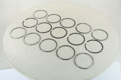 Кільця поршневі VAG 5 Cyl. 81,00 2,5 x 2,0 x 3,00 mm (вир-во SM) SM MVI 795041-00-5 (фото 1)