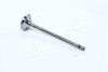 Клапан-EXH SSANGYONG D20DT/D27DT (PMC-ESSENCE) PARTS-MALL HCZD-001E (фото 3)
