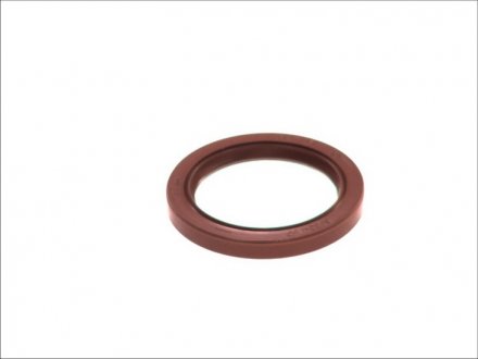 Уплотняющее кольцо, коленчатый вал; ELRING 336.999 (фото 1)
