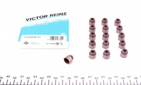Сальники клапанів (комплект) VICTOR REINZ 12-53036-01 (фото 1)