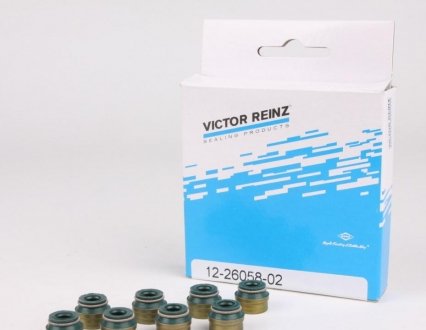 Комплект сальників клапану DIVERSE VICTOR REINZ 12-26058-02
