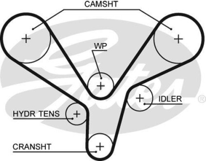 Ремень ГРМ GATES 5636XS (фото 1)