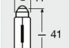 Лампа накаливания, фонарь освещения номерного знака OSRAM 6424 (фото 2)