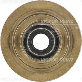 Ущільнююче кільце, стержень клапана VICTOR REINZ 70-31056-00 (фото 1)