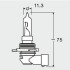 ЛАМПА HIR 65W 12V PX20D 10X10X1 OSRAM 9011 (фото 3)