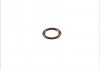 Уплотнительное кольцо, резьбовая пр 394290