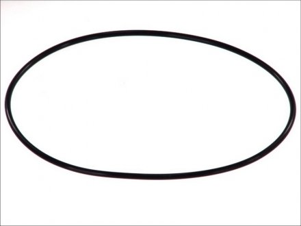 Уплотнительное кольцо SAF 4315005400 (фото 1)