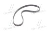 Ремінь поліклиновий (Mobis) HYUNDAI/KIA/MOBIS 252122B030 (фото 4)