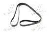 Ремень поликлиновой Hyundai Tucson/Kia Sportage 04- (Mobis) HYUNDAI/KIA/MOBIS 2521237182 (фото 1)