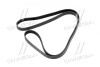 Ремень поликлиновой Hyundai Tucson/Kia Sportage 04- (Mobis) HYUNDAI/KIA/MOBIS 2521237182 (фото 2)