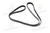 Ремень поликлиновой Hyundai Tucson/Kia Sportage 04- (Mobis) HYUNDAI/KIA/MOBIS 2521237182 (фото 3)