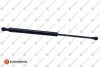 EUROREPAR TAILGATE STRUT EUROREPAR 1679436680 (фото 1)