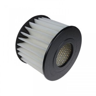 Фільтр повітря TOYOTA DYNA -95 BLUE PRINT ADT32255