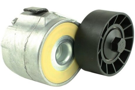 Натягувач ременя MICRO-V FIAT FAST FT44613