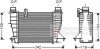 Інтеркулер RENAULT Clio 1.5D 10- VAN WEZEL 43004553 (фото 2)