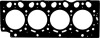 Прокладка ГБЦ DEUTZ VICTOR REINZ 613751520 (фото 1)
