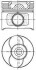 Поршень з кільцями FIAT 82,60 1,9JTD NURAL 87-124008-30 (фото 1)