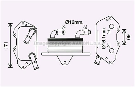 Радіатор масляний VAG (AVA) AVA COOLING AI3404